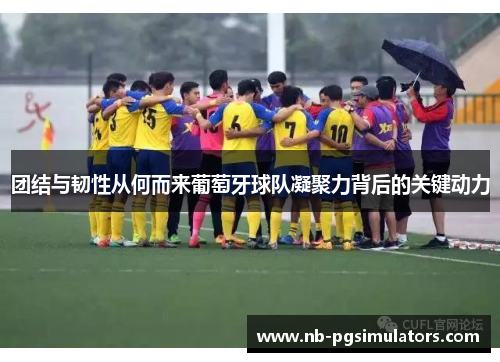 团结与韧性从何而来葡萄牙球队凝聚力背后的关键动力 团结与韧性从何而来葡萄牙球队凝聚力背后的关键动力