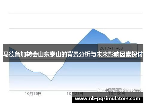 马德鲁加转会山东泰山的背景分析与未来影响因素探讨 马德鲁加转会山东泰山的背景分析与未来影响因素探讨