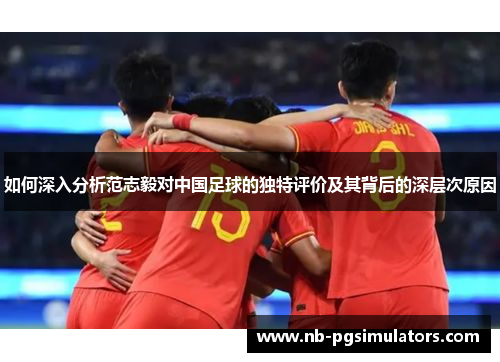 如何深入分析范志毅对中国足球的独特评价及其背后的深层次原因