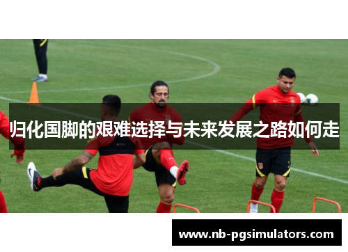 归化国脚的艰难选择与未来发展之路如何走