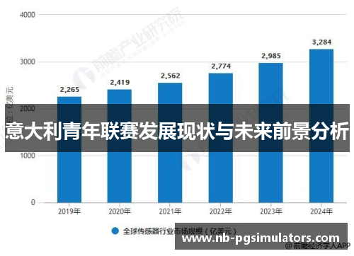 意大利青年联赛发展现状与未来前景分析
