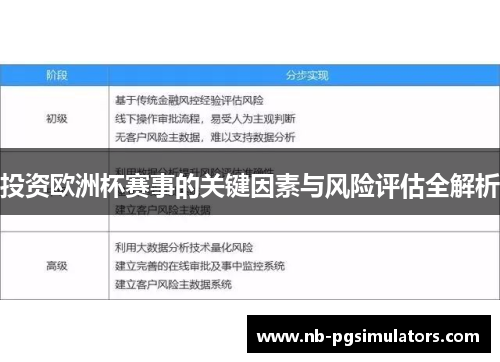 投资欧洲杯赛事的关键因素与风险评估全解析 投资欧洲杯赛事的关键因素与风险评估全解析
